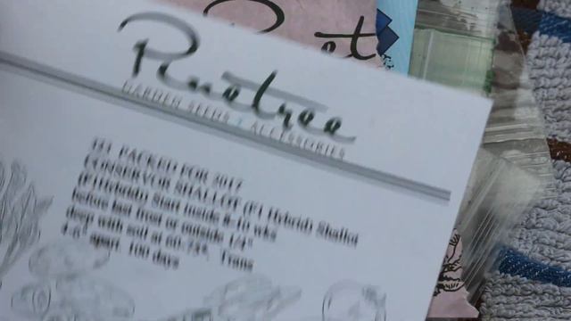 Winter Sowing Flowers-Perennials And Cool Weather Annuals-January Garden Update