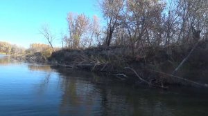 ЛОВЛЯ ЩУКИ НА ДЖЕРК ОСЕНЬЮ