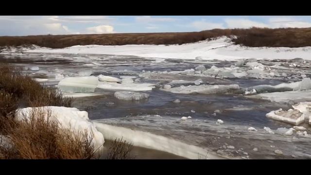 Вело сплав по реке Юньяга 22 05 2021г смотреть онлайн