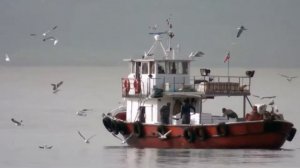 Все виды транспорта. Развивающее видео для детей.Машинки, Вертолеты, самолеты и яхты!!!!