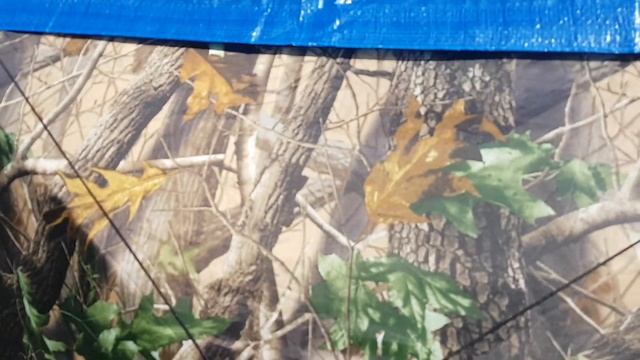 Накидка на палатку лонг. смотреть онлайн