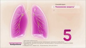 Реклама Амбробене   Пять действий против кашля - Октябрь 2018