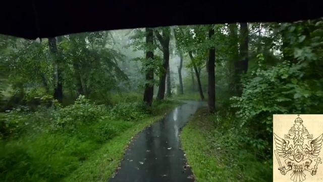 Мораль и ценности жизни - как размышления на фоне происходящего смотреть онлайн