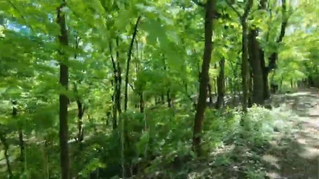 Поход из Адвокатского кабинета в Октябрьский суд Ростова-на-Дону и обратно. смотреть онлайн