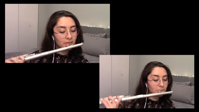 Duet #12 | Nineteen Flute Duos Selected from the Works of Devienne смотреть онлайн