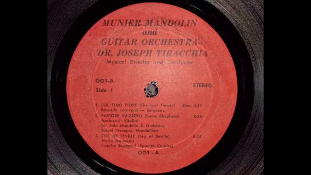 MANDOLIN ORCHESTRA - Munier Mandolin and Guitar Society, Joseph Tiracchia смотреть онлайн