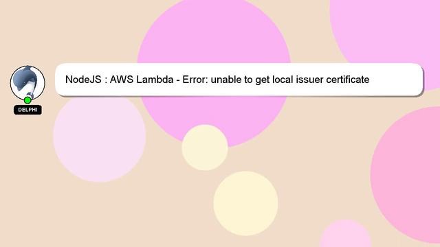 NodeJS : AWS Lambda - Error: unable to get local issuer certificate смотреть онлайн