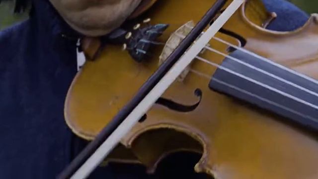 Liana Gourdjia, Tcha Limberger, Violins, Renaud Dardenne, Guitar, Vilmos Csikos, Double Bass