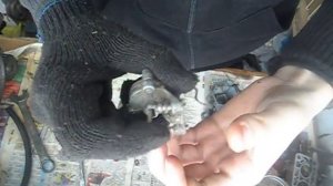 Чистим карбюратор ОЗОН от ваз 2107.