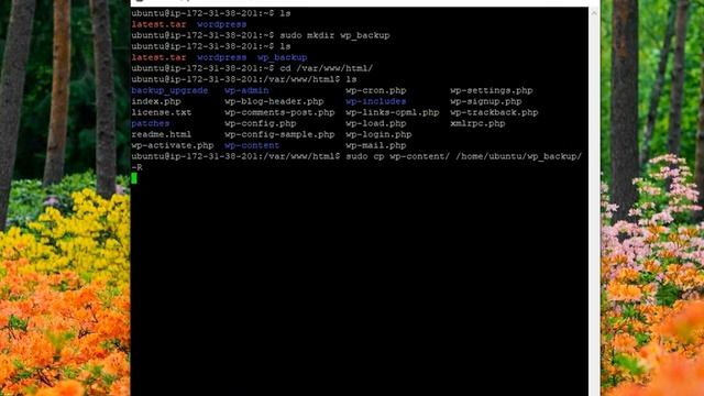 Creating Word Press Backup before Upgrade смотреть онлайн