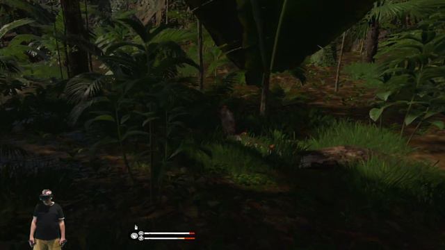 Primer vistazo Green Hell VR PC ⚡Steam VR⚡ смотреть онлайн