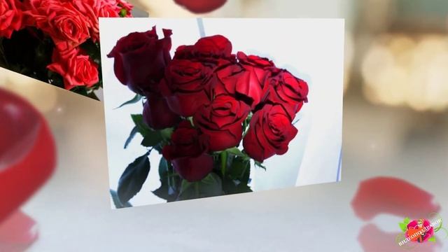 С Днём рождения, Манана! смотреть онлайн