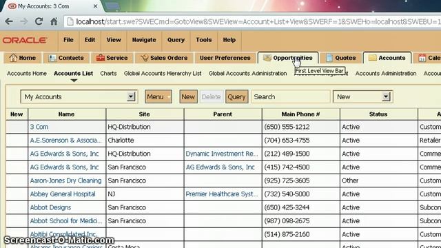 Siebel Open UI Customization: Sortable Screen Tabs смотреть онлайн