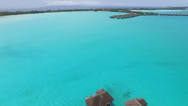 Paradise on Earth - Bora Bora Island | French Polynesia in Ultra HD смотреть онлайн