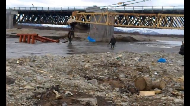 Гусеничный кран ДЭК 631 ремонтирует мост в Магаданской области смотреть онлайн
