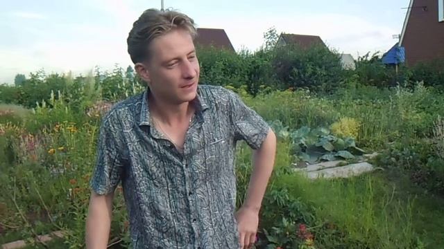 Георгий Граубин "Русский язык" смотреть онлайн