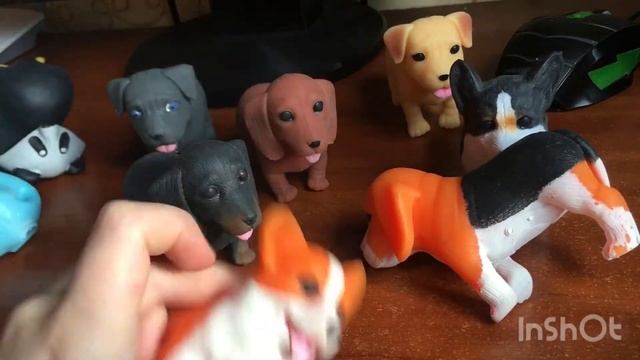 Собачки в костюмчиках и котик связан своими руками смотреть онлайн