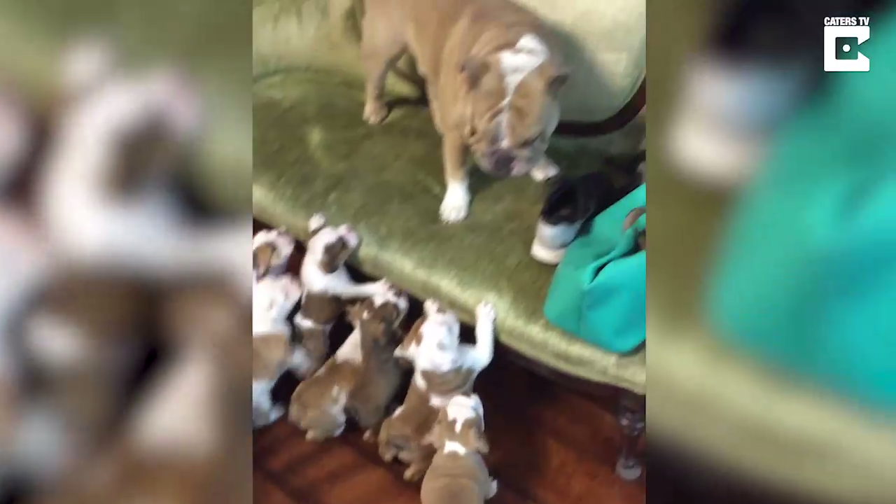 Всем родителям необходим иногда отдых смотреть онлайн