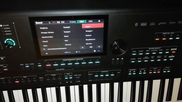 Medeli AKX10-Romanian Sampler