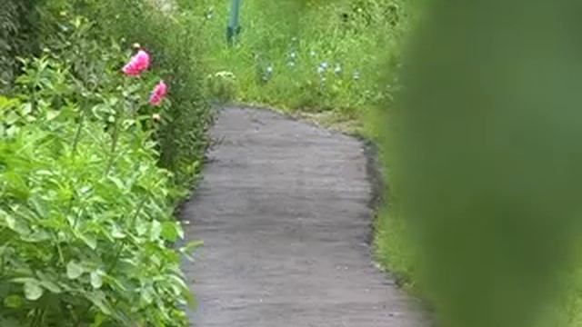 24 07 13 blagoustrojstvo dvorov смотреть онлайн