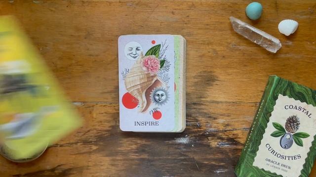 Flip Through of Coastal Curiosities Oracle Deck 2nd Edition смотреть онлайн