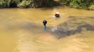 Приколы с мотоблоками. Пьяные за рулём.