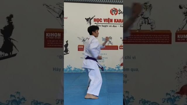 Tekki Shodan [Bushido Karate Academy] смотреть онлайн