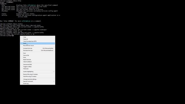 How to stop or start Micro Services in Control-M/Server using ctmsca utility? смотреть онлайн