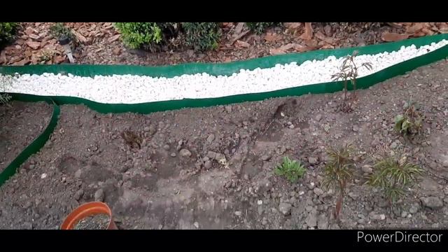 Распаковка посылки,растения для сада!!! смотреть онлайн