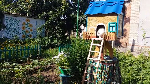 ДОМИК ДЛЯ КОШКИ
