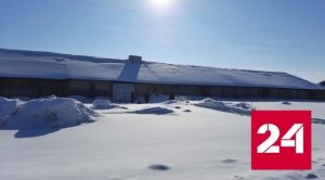 На Алтае женщина сожгла свою маленькую дочь - Россия 24