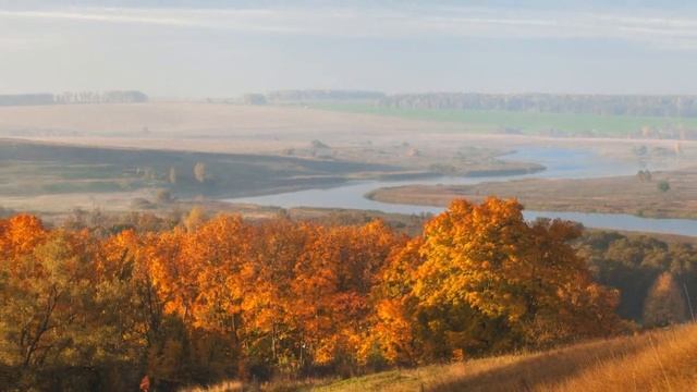 И снова улетают журавли... В муз. Сергея Чекалина "Под звездами". смотреть онлайн