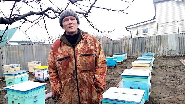 Как я стал пчеловодом. Моя история, советы начинающим, цели и планы смотреть онлайн