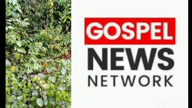 Happening Now! Heavily Aŕmëd Biafra Army Kpai 2,500 Nig Aŕmy In Imo, Hope Uzodinma Flee смотреть онлайн