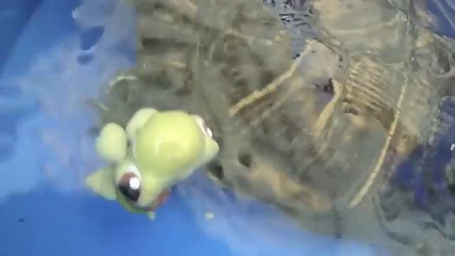 LITTLEST PET SHOP. TORTUGAS AL RESCATE. "Turtle rescue" смотреть онлайн