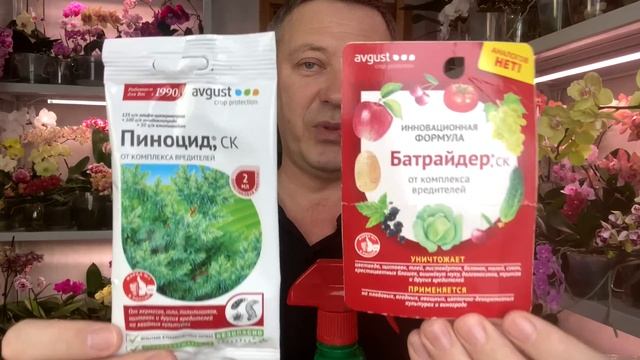причины пересадки орхидей после покупки / орхидеи от насекомых / орхидея Осенний ветер и незнакомк смотреть онлайн