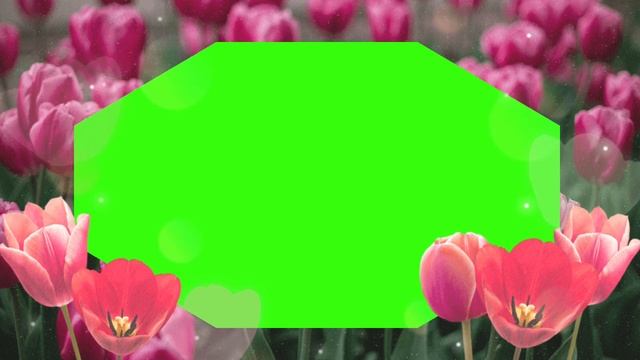 Frame floral green screen. Хромакей "Цветочные рамки".Green screen effects. смотреть онлайн