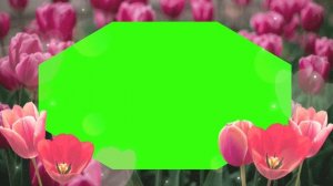 Frame floral green screen. Хромакей "Цветочные рамки".Green screen effects.