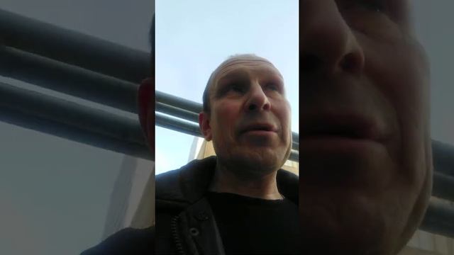 Инкубация в разгаре. Взбесился контроллер ZL-7801A. Срочно нужен совет смотреть онлайн