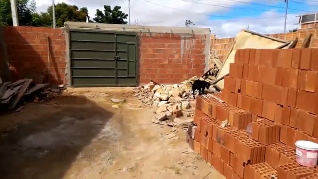 PLANTAÇÃO DE LARANJAS EM JUAZEIRO DA BAHIA смотреть онлайн