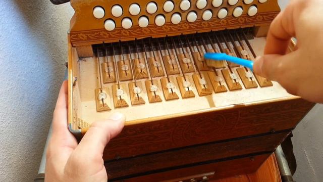 80 years old Hohner accordion ASMR Video смотреть онлайн