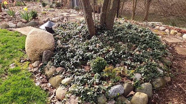 Garden Tour Walkabout End of April 🌼🌿🌸// Suburban Oasis смотреть онлайн