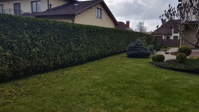 Обрезка туй. Стрижка формирование живой ☎ +7(999)820-80-80 Москва смотреть онлайн