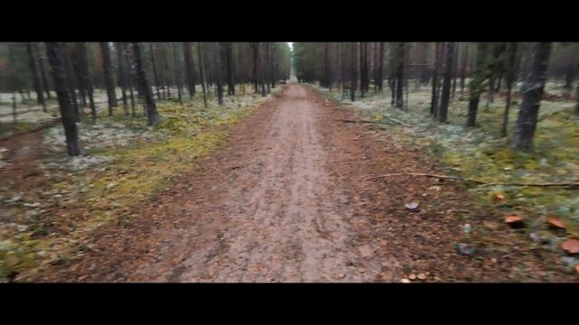 Заброшенная деревня | Звероферма | Каменная голова | Смоляная печь - "ТАЙНЫ ОСЕННЕГО ЛЕСА" смотреть онлайн