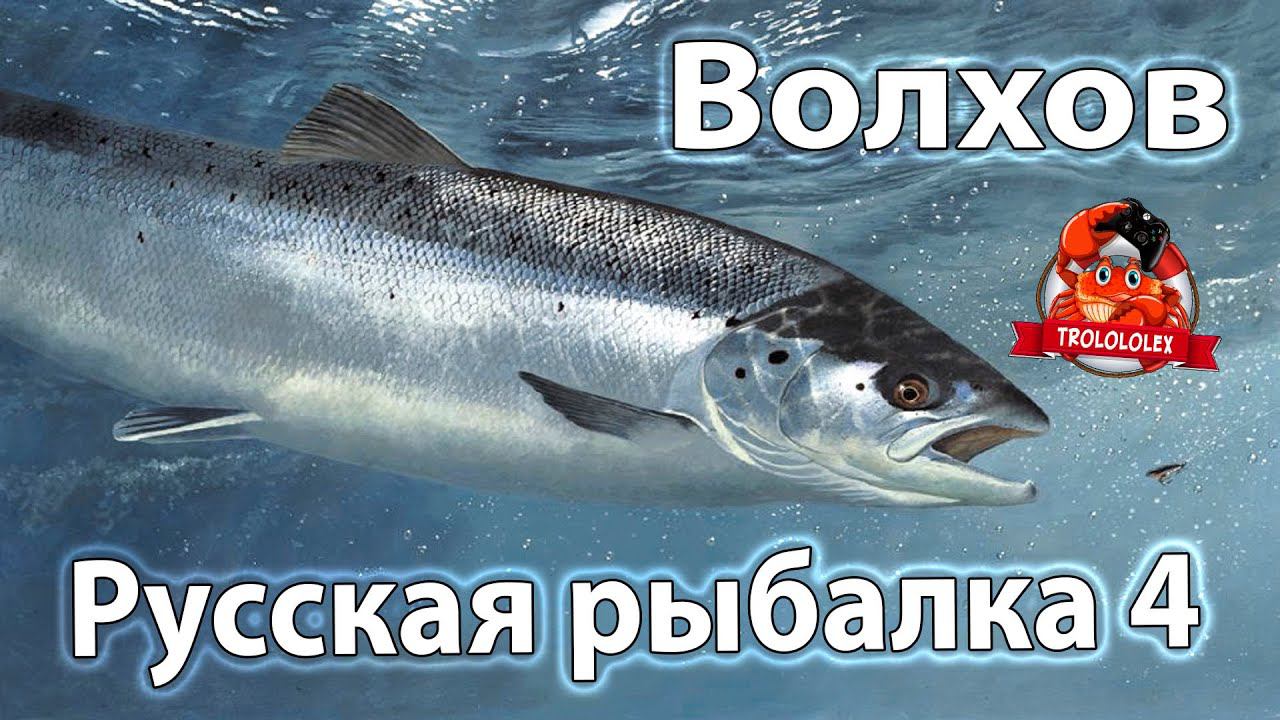 Русская рыбалка 4 РР4 Волхов смотреть онлайн