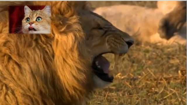 Видеоролик к 1 Апреля