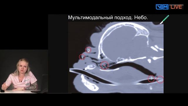 Брахицефалический синдром смотреть онлайн