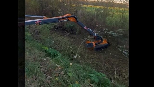 Измельчение кустов в придорожной полосе косилкой - мульчером ROLMEX KR 600 смотреть онлайн