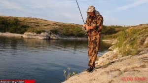 Рыбалка на Ириклинском водохранилище. Ловля судака летом.