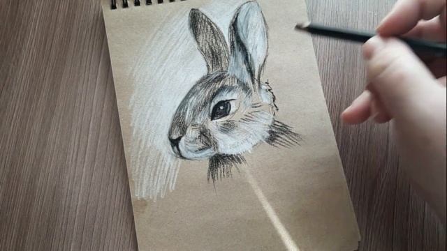 КРОЛИК / RABBIT / Рисую угольным карандашом / День 9 смотреть онлайн